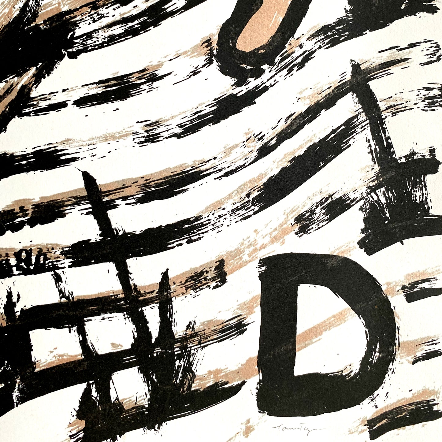 WILD - Print Experiment