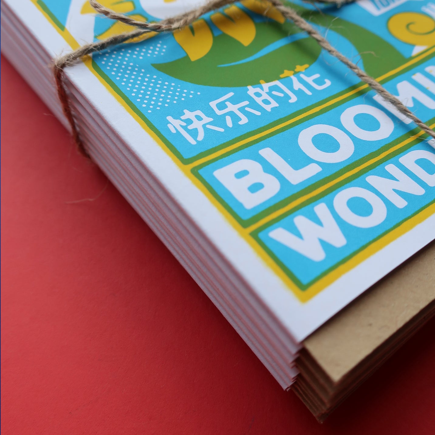 Multipack of TEN Greeting Cards