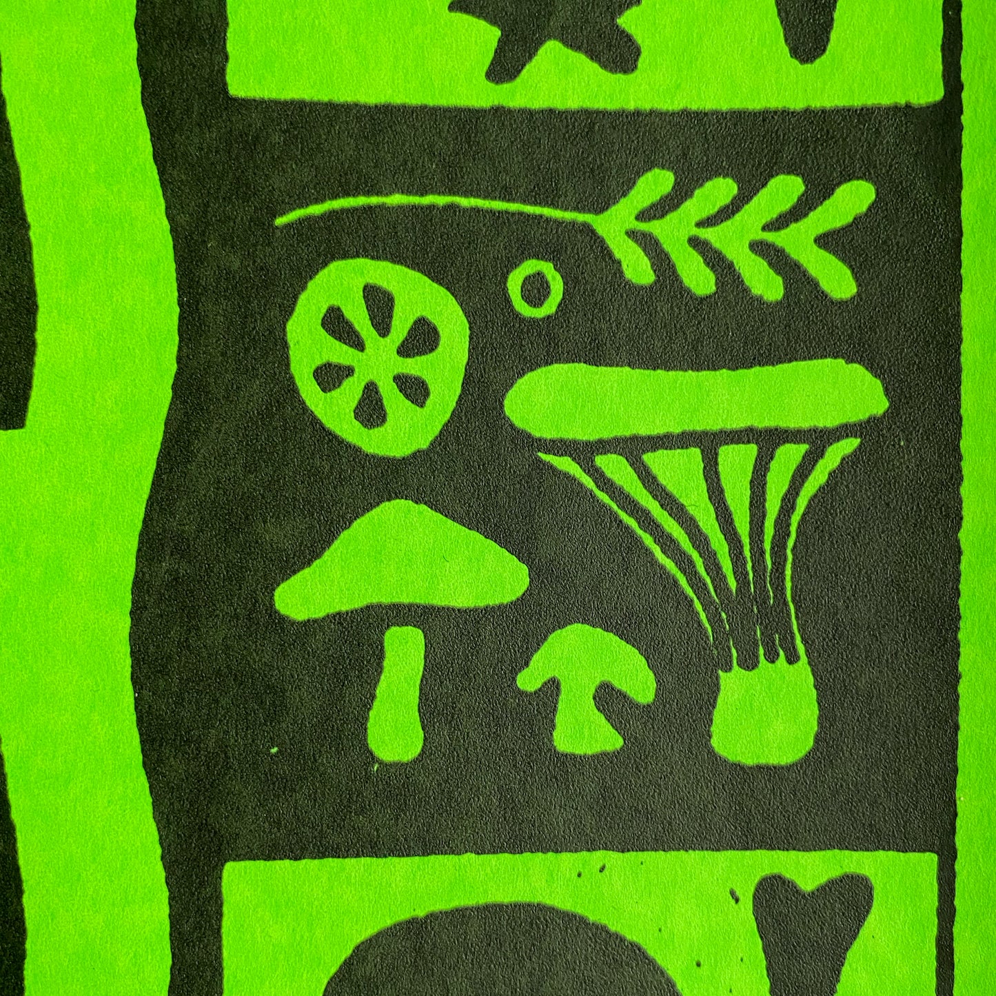 WITCH - Future Yard 2022